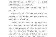 贵港旅游感想(张家界旅游感想)