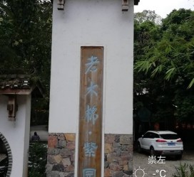 贵港关于伴游中国伴游你们伴得是什么游的信息