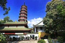 贵港广州自由行(广州 自由行)