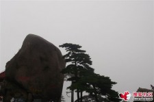 贵港上海伴游私家陪游雇用女模(上海伴游私家陪游雇用女模特)