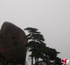 贵港上海伴游私家陪游雇用女模(上海伴游私家陪游雇用女模特)