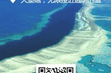 贵港中国250家旅行社结伴游新西兰(新西兰当地旅行社)