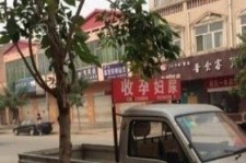 贵港上海伴游 用伴游造句大全(5