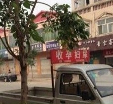 贵港上海伴游 用伴游造句大全(5