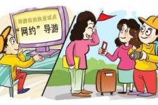 贵港伴游是什么