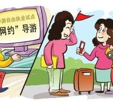 贵港伴游是什么