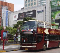 贵港上海私人伴游 上海过年怎么玩？这些“微游”线路了解下→