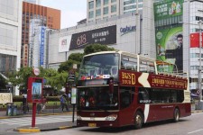贵港上海私人伴游 上海过年怎么玩？这些“微游”线路了解下→