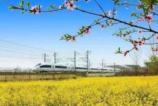 贵港高铁游(高铁游戏下载手机版)