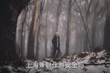 贵港上海私人伴游 上海伴游，上海兼职伴游安全吗