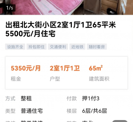 贵港私人伴游是什么 “过年租友”陷阱：骗财与色情服务