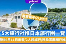 贵港旅游价格(旅游价格机制)