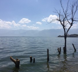 贵港洱海旅游攻略(洱海旅游攻略自由行)