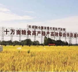 贵港关于成都商务伴游外围雇用的信息
