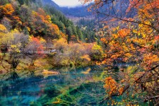 贵港四川旅游攻略(四川旅游攻略十五日游)