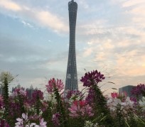贵港广州旅游攻略(杭州到广州旅游攻略)