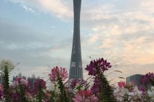 贵港广州旅游攻略(杭州到广州旅游攻略)