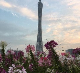 贵港广州旅游攻略(杭州到广州旅游攻略)