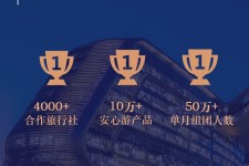 贵港上海私人伴游 ​ “小而美”的新时代：2020年国内新跟团消费报告