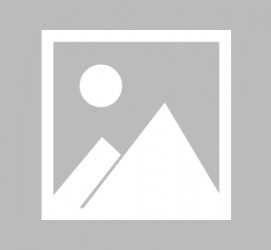贵港最新导游伴游雇用信息(最新导游伴游雇用信息大全)