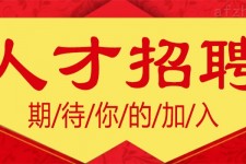 贵港上海伴游招聘 招聘 | 浦东机场专柜销售