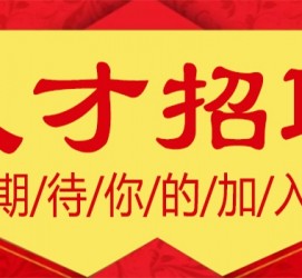 贵港上海伴游招聘 招聘 | 浦东机场专柜销售