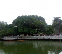 贵港福州旅游攻略(福州旅游攻略二日游)