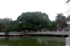 贵港福州旅游攻略(福州旅游攻略二日游)