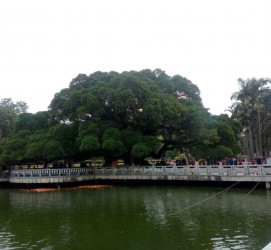 贵港福州旅游攻略(福州旅游攻略二日游)