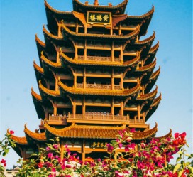 贵港武汉游玩攻略(武汉游玩攻略路线)