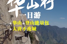 贵港一日游(一日游需要准备些什么东西?)